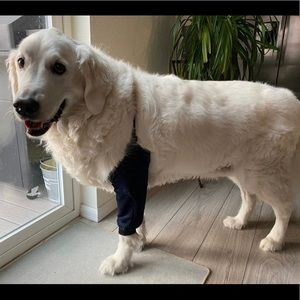New Dog Cushioned Elbow Pads/ Protectors, Size L/XL